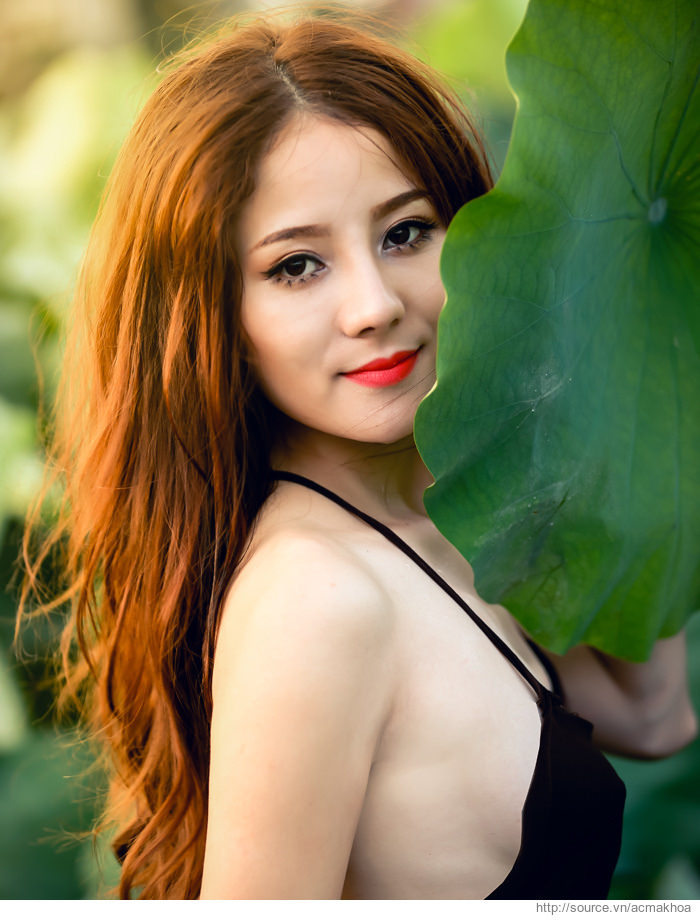 枫与铃樱花动漫